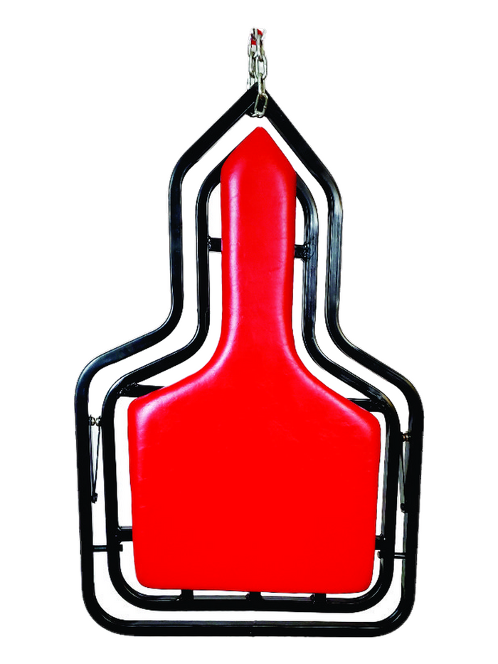model E for bondage